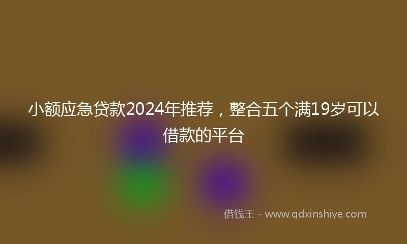 小额应急贷款2024年推荐，整合五个满19岁可以借款的平台