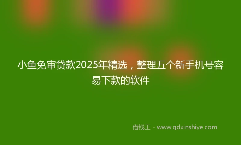 小鱼免审贷款2025年精选，整理五个新手机号容易下款的软件