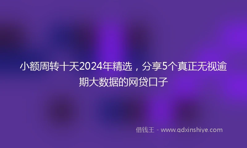 小额周转十天2024年精选，分享5个真正无视逾期大数据的网贷口子