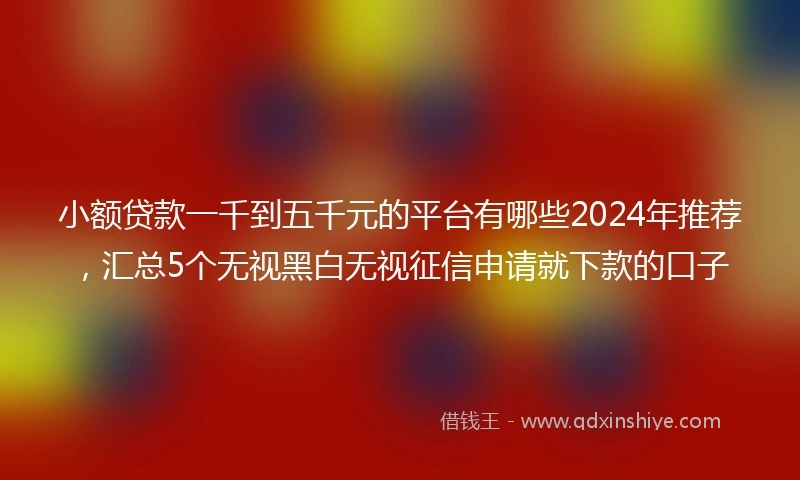 小额贷款一千到五千元的平台有哪些2024年推荐，汇总5个无视黑白无视征信申请就下款的口子