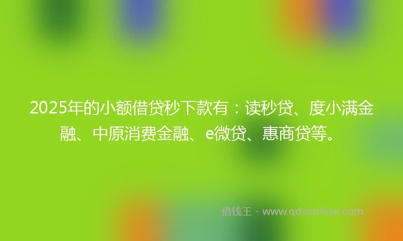 2025年的小额借贷秒下款有：读秒贷、度小满金融、中原消费金融、e微贷、惠商贷等。