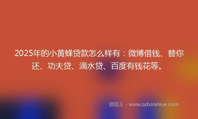 2025年的小黄蜂贷款怎么样有：微博借钱、替你还、功夫贷、滴水贷、百度有钱花等。