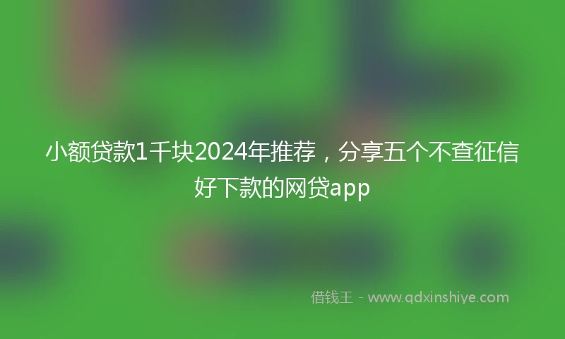 小额贷款1千块2024年推荐，分享五个不查征信好下款的网贷app