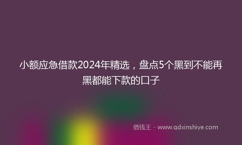 小额应急借款2024年精选，盘点5个黑到不能再黑都能下款的口子