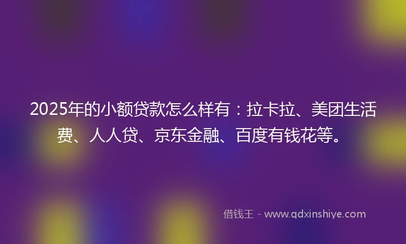 2025年的小额贷款怎么样有：拉卡拉、美团生活费、人人贷、京东金融、百度有钱花等。