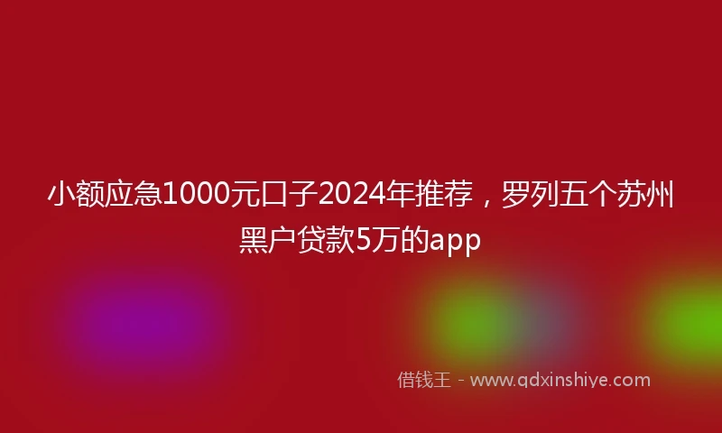 小额应急1000元口子2024年推荐，罗列五个苏州黑户贷款5万的app