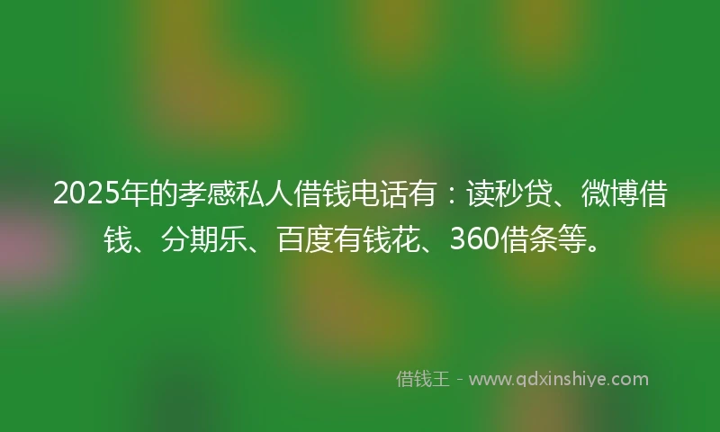 2025年的孝感私人借钱电话有：读秒贷、微博借钱、分期乐、百度有钱花、360借条等。