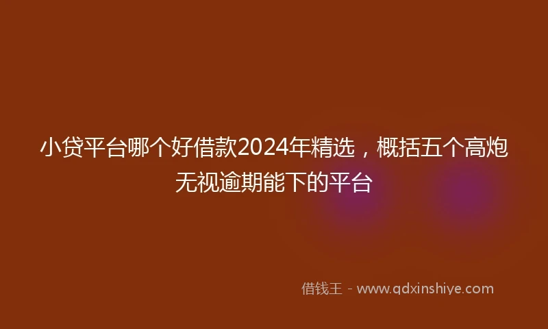 小贷平台哪个好借款2024年精选，概括五个高炮无视逾期能下的平台