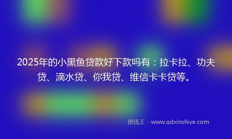 2025年的小黑鱼贷款好下款吗有:拉卡拉、功夫贷、滴水贷、你我贷、维信卡卡贷等。