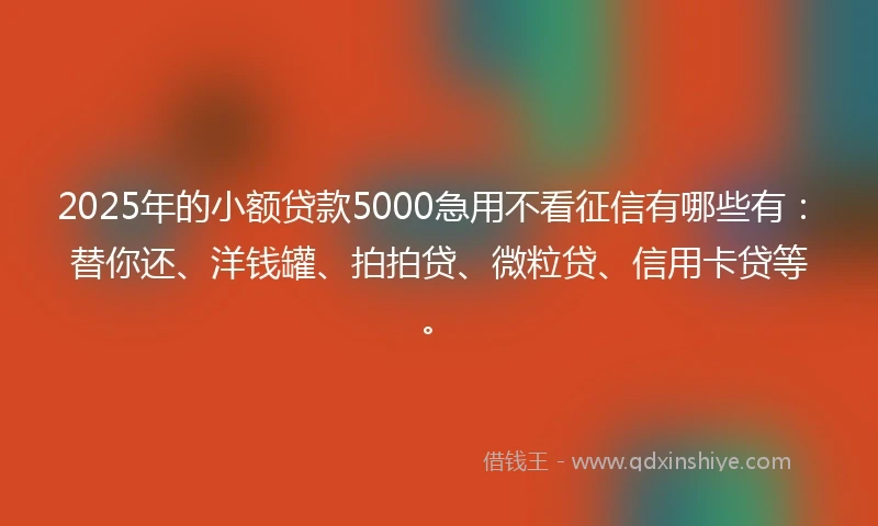 2025年的小额贷款5000急用不看征信有哪些有：替你还、洋钱罐、拍拍贷、微粒贷、信用卡贷等。