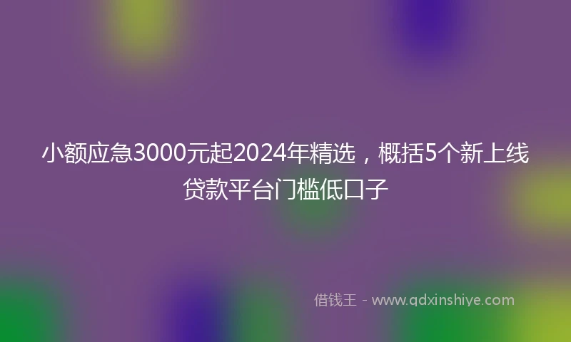 小额应急3000元起2024年精选，概括5个新上线贷款平台门槛低口子