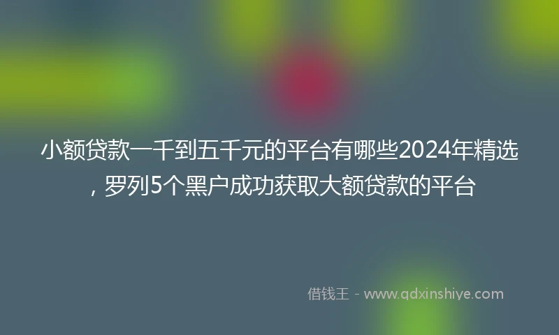 小额贷款一千到五千元的平台有哪些2024年精选，罗列5个黑户成功获取大额贷款的平台