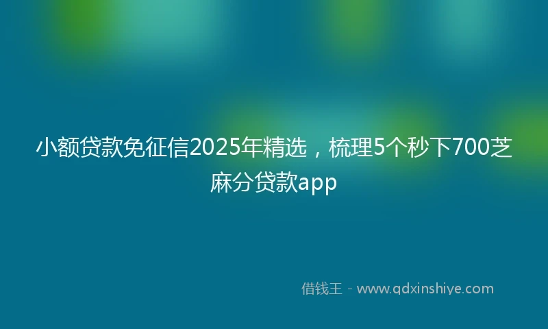 小额贷款免征信2025年精选，梳理5个秒下700芝麻分贷款app
