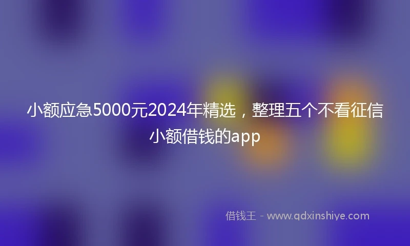 小额应急5000元2024年精选，整理五个不看征信小额借钱的app