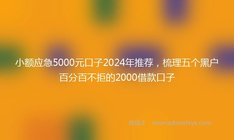 小额应急5000元口子2024年推荐，梳理五个黑户百分百不拒的2000借款口子