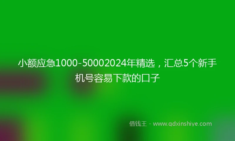 小额应急1000-50002024年精选，汇总5个新手机号容易下款的口子