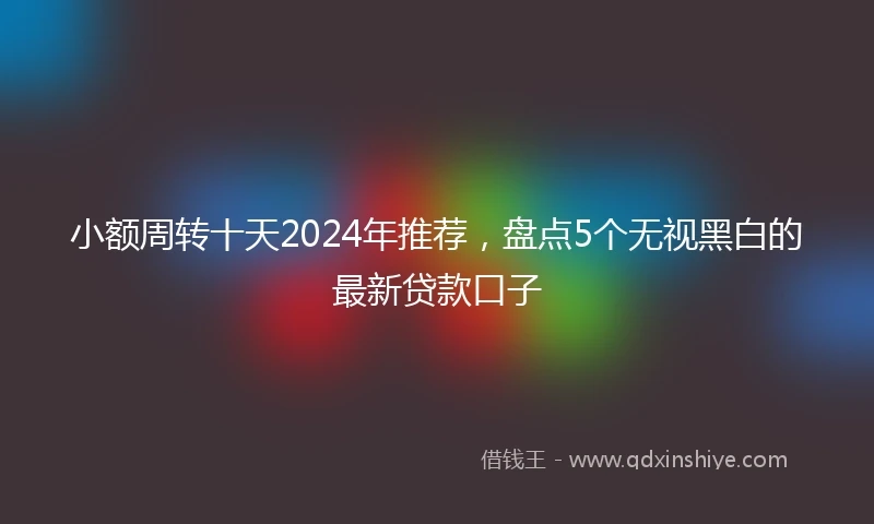 小额周转十天2024年推荐，盘点5个无视黑白的最新贷款口子