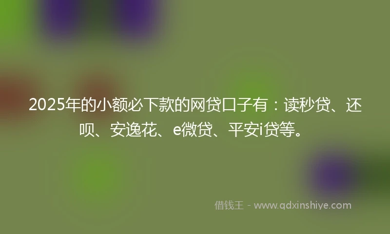2025年的小额必下款的网贷口子有：读秒贷、还呗、安逸花、e微贷、平安i贷等。