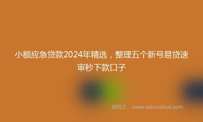 小额应急贷款2024年精选，整理五个新号易贷速审秒下款口子