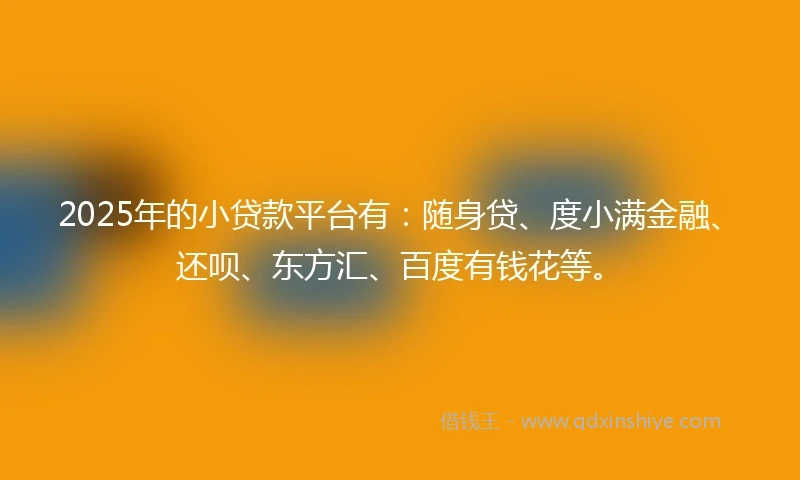 2025年的小贷款平台有：随身贷、度小满金融、还呗、东方汇、百度有钱花等。