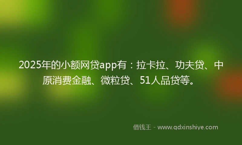 2025年的小额网贷app有：拉卡拉、功夫贷、中原消费金融、微粒贷、51人品贷等。