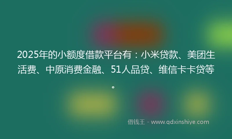 2025年的小额度借款平台有：小米贷款、美团生活费、中原消费金融、51人品贷、维信卡卡贷等。
