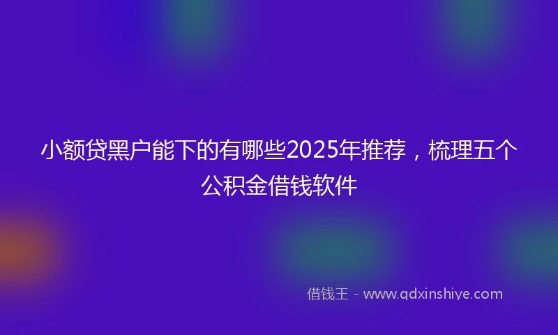 小额贷黑户能下的有哪些2025年推荐，梳理五个公积金借钱软件