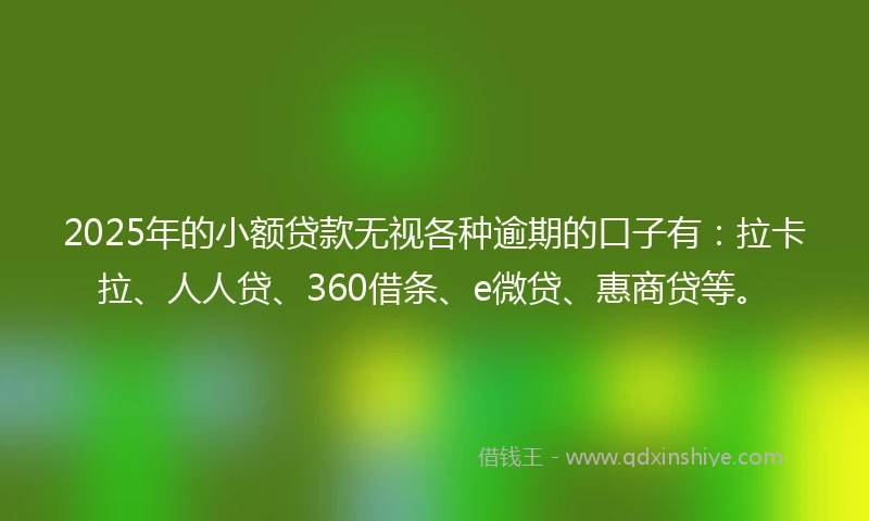2025年的小额贷款无视各种逾期的口子有：拉卡拉、人人贷、360借条、e微贷、惠商贷等。