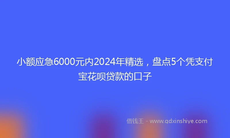 小额应急6000元内2024年精选，盘点5个凭支付宝花呗贷款的口子