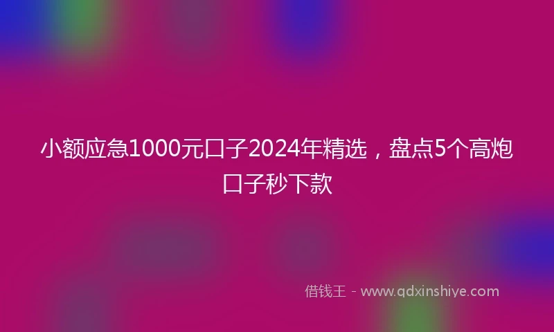 小额应急1000元口子2024年精选，盘点5个高炮口子秒下款