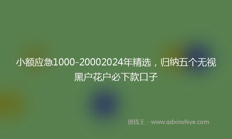 小额应急1000-20002024年精选，归纳五个无视黑户花户必下款口子