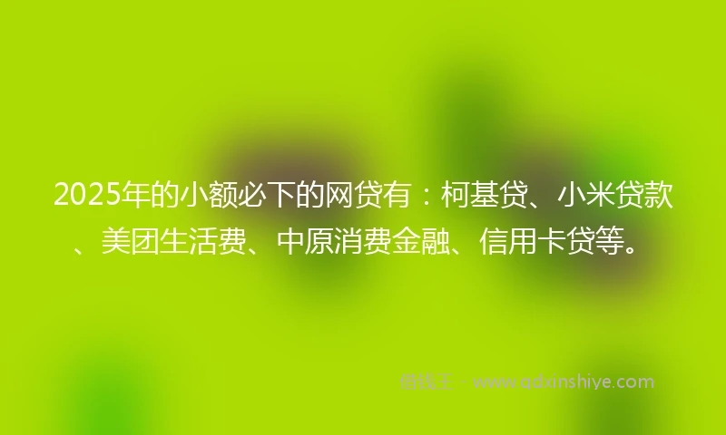 2025年的小额必下的网贷有：柯基贷、小米贷款、美团生活费、中原消费金融、信用卡贷等。