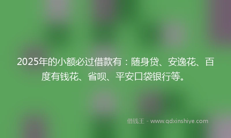 2025年的小额必过借款有：随身贷、安逸花、百度有钱花、省呗、平安口袋银行等。