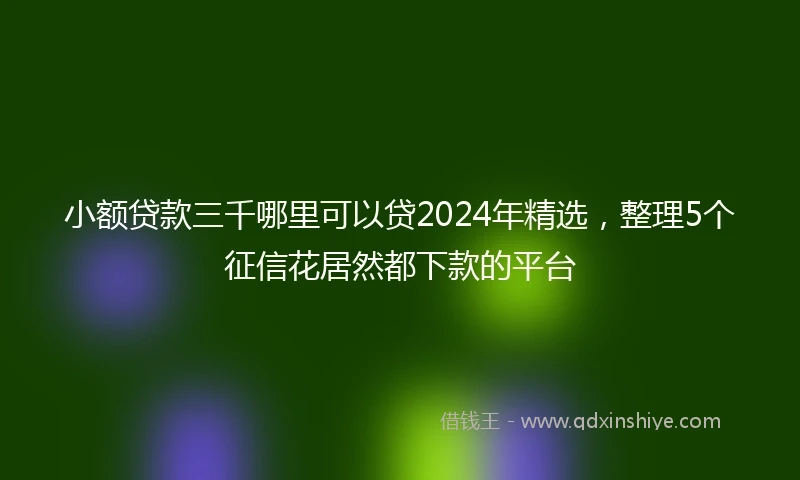 小额贷款三千哪里可以贷2024年精选，整理5个征信花居然都下款的平台