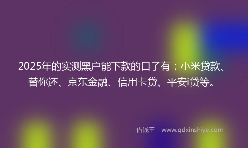 2025年的实测黑户能下款的口子有：小米贷款、替你还、京东金融、信用卡贷、平安i贷等。