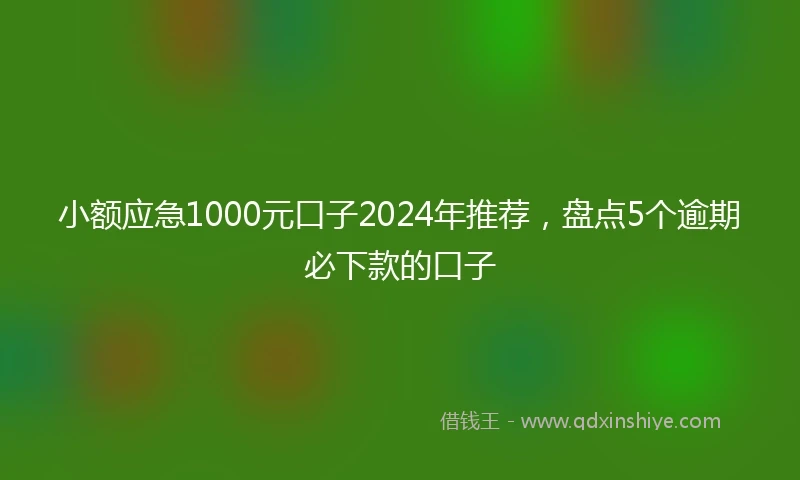 小额应急1000元口子2024年推荐，盘点5个逾期必下款的口子