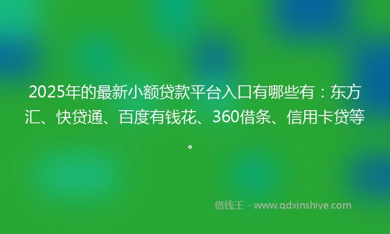 2025年的最新小额贷款平台入口有哪些有：东方汇、快贷通、百度有钱花、360借条、信用卡贷等。