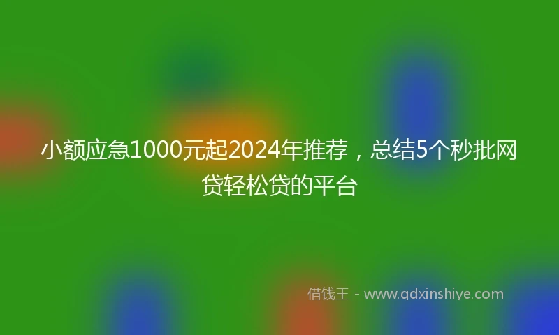 小额应急1000元起2024年推荐，总结5个秒批网贷轻松贷的平台