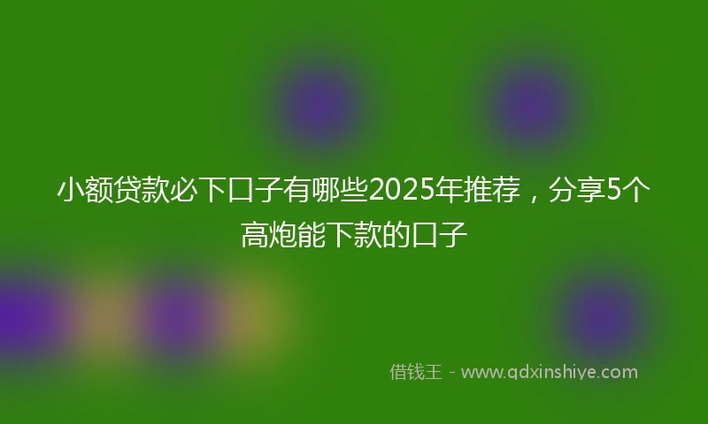 小额贷款必下口子有哪些2025年推荐，分享5个高炮能下款的口子
