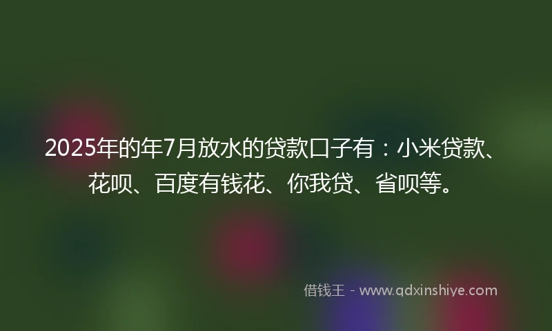 2025年的年7月放水的贷款口子有：小米贷款、花呗、百度有钱花、你我贷、省呗等。