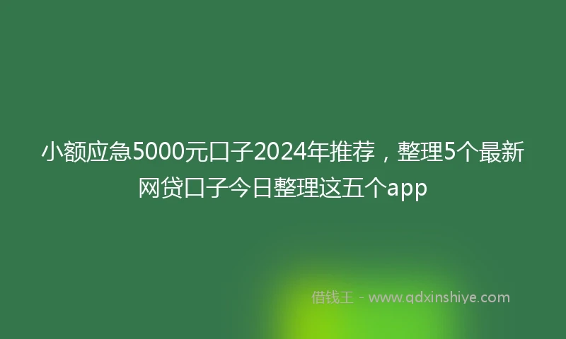 小额应急5000元口子2024年推荐，整理5个最新网贷口子今日整理这五个app