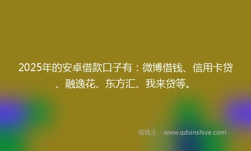 2025年的安卓借款口子有：微博借钱、信用卡贷、融逸花、东方汇、我来贷等。
