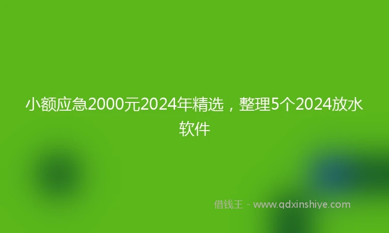 小额应急2000元2024年精选，整理5个2024放水软件
