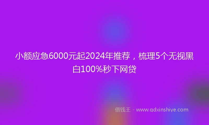 小额应急6000元起2024年推荐，梳理5个无视黑白100%秒下网贷