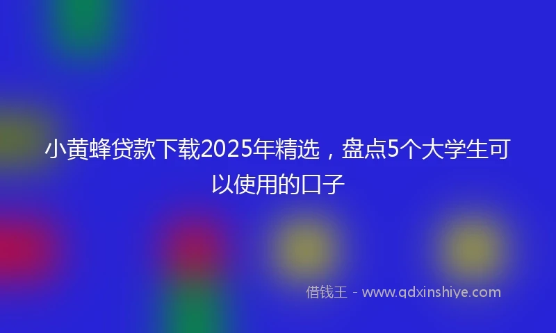 小黄蜂贷款下载2025年精选，盘点5个大学生可以使用的口子