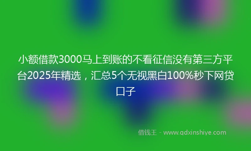 小额借款3000马上到账的不看征信没有第三方平台2025年精选，汇总5个无视黑白100%秒下网贷口子
