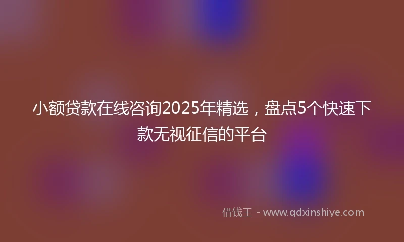 小额贷款在线咨询2025年精选，盘点5个快速下款无视征信的平台