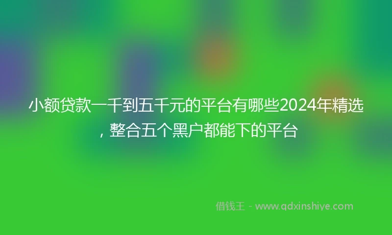 小额贷款一千到五千元的平台有哪些2024年精选，整合五个黑户都能下的平台