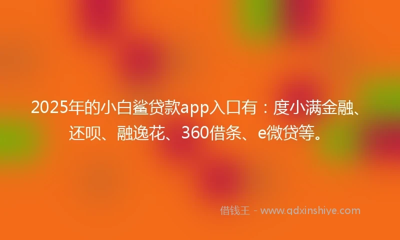 2025年的小白鲨贷款app入口有：度小满金融、还呗、融逸花、360借条、e微贷等。