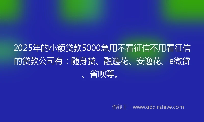 2025年的小额贷款5000急用不看征信不用看征信的贷款公司有：随身贷、融逸花、安逸花、e微贷、省呗等。